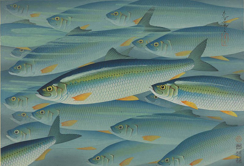 アート魚ッチング ―描かれた水の仲間たち― 海の見える杜美術館-6