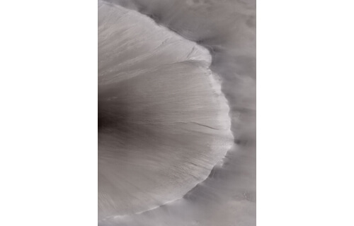 トーマス・ルフ展 / THOMAS RUFF 金沢21世紀美術館-4