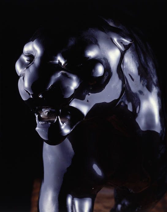 所蔵作品展 たんけん！こども工芸館　ジャングル⇔パラダイス 国立工芸館-1