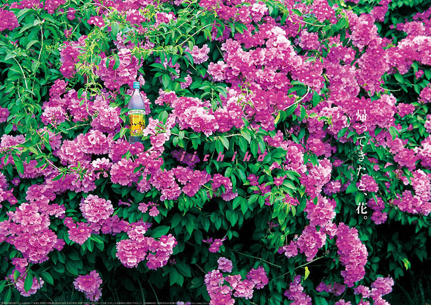 ミスマッチストーリィ 河北秀也のiichiko design 清須市はるひ美術館-1