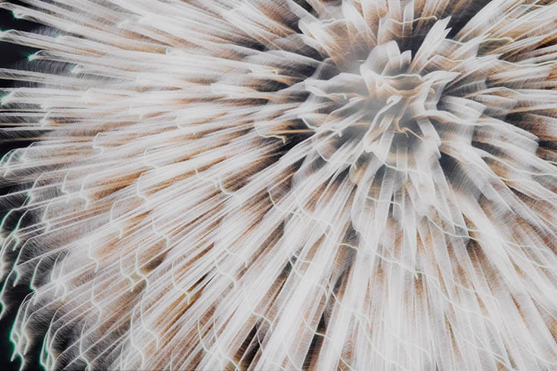 MOTコレクション Journals 日々、記す 特別展示：マーク・マンダース「保管と展示」 東京都現代美術館-7