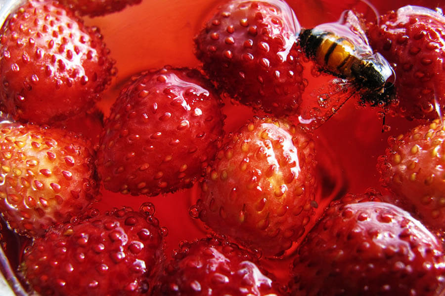 蜷川実花展 ー虚構と現実の間にー MIKA NINAGAWA ーINTO FICTION / REALITY 上野の森美術館-3