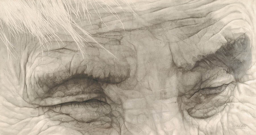 LOVE＆LIFE　コレクションより愛をこめて 新潟市美術館-4