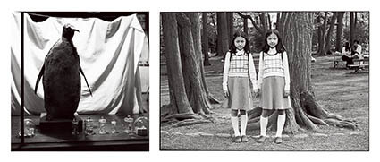フジフイルム スクエア 写真歴史博物館 企画写真展 フジフイルム・フォトコレクション特別展「師弟、それぞれの写真表現」 FUJIFILM SQUARE（フジフイルム スクエア）-4