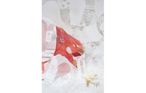 樫尾聡美　生命の内側にひそむもの 金沢21世紀美術館-2