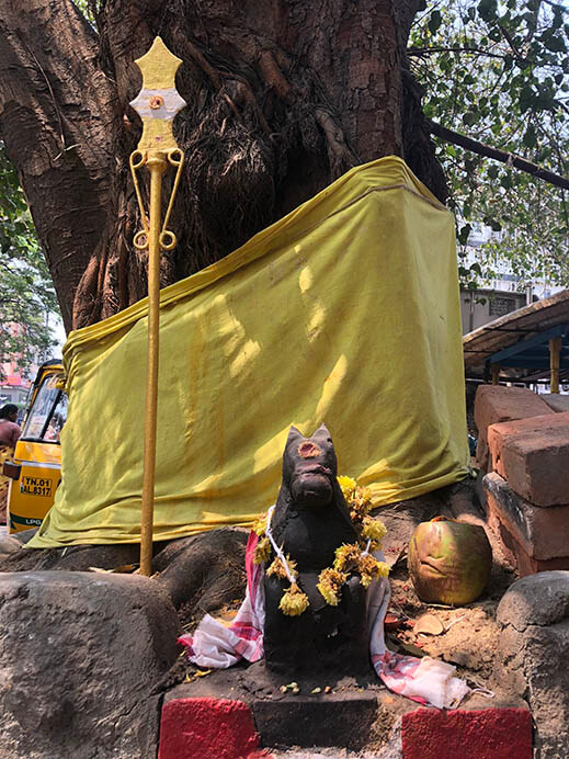 企画展「躍動するインド世界の布」 国立民族学博物館-9