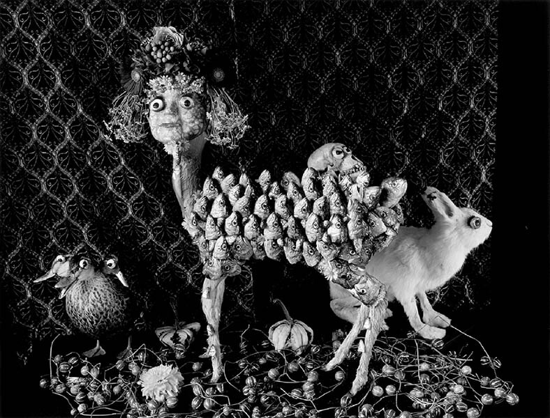 フィリア―今 道子 神奈川県立近代美術館 鎌倉別館-9