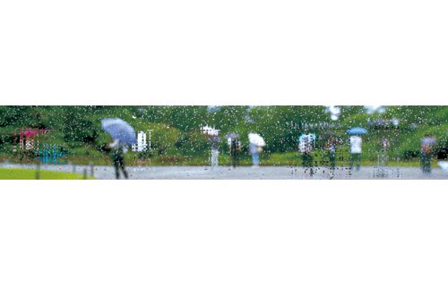 廣村正彰 「金沢でJunglin'」 おぼろげ 金沢21世紀美術館-2