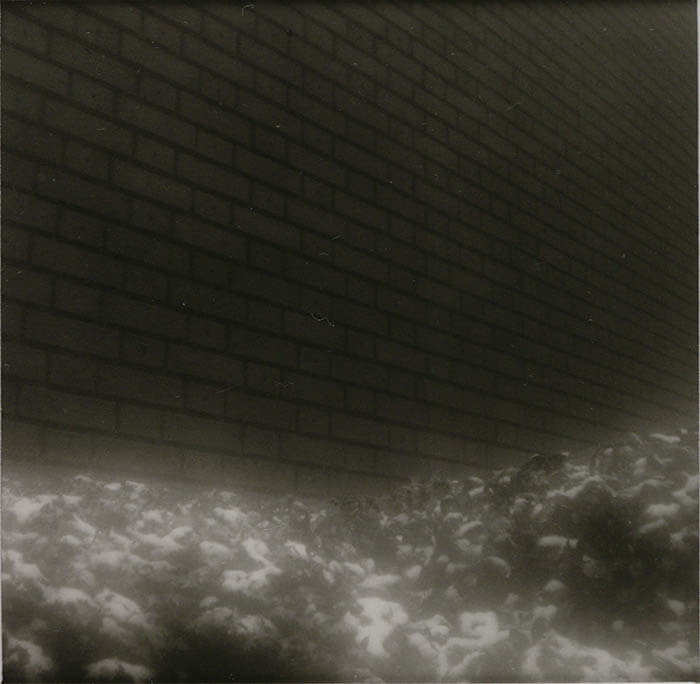 東京都コレクションでたどる〈上野〉の記録と記憶 東京都美術館-5