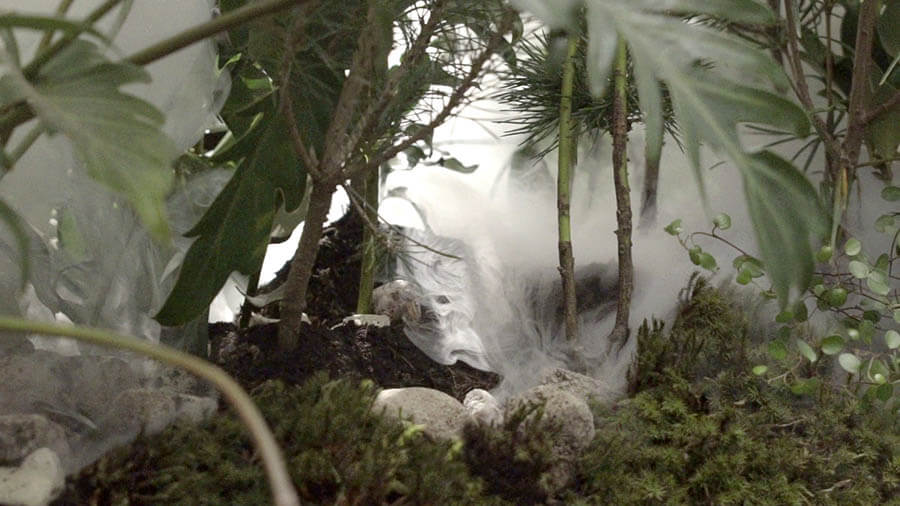 マヤ・ワタナベ「Suspended States ｜ 滞留」 京都芸術センター-3