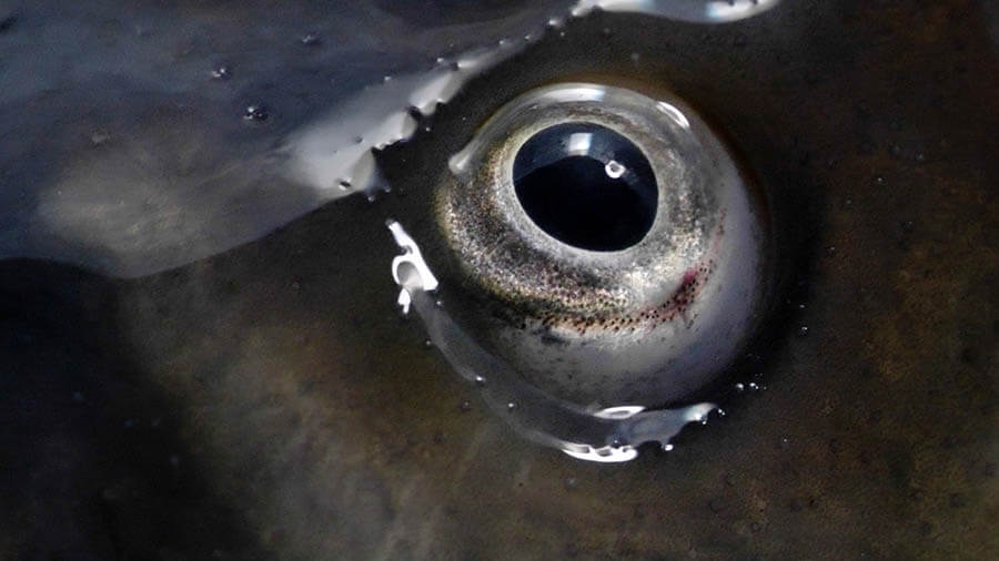 マヤ・ワタナベ「Suspended States ｜ 滞留」 京都芸術センター-4