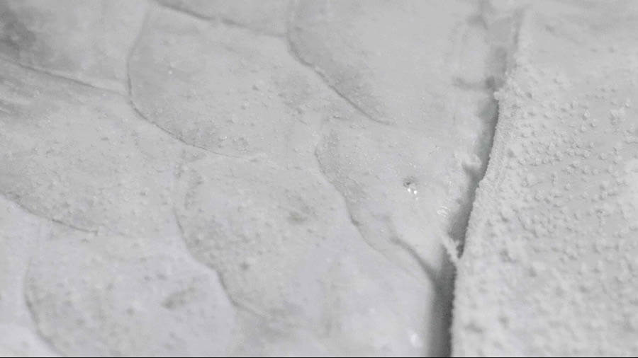 マヤ・ワタナベ「Suspended States ｜ 滞留」 京都芸術センター-5