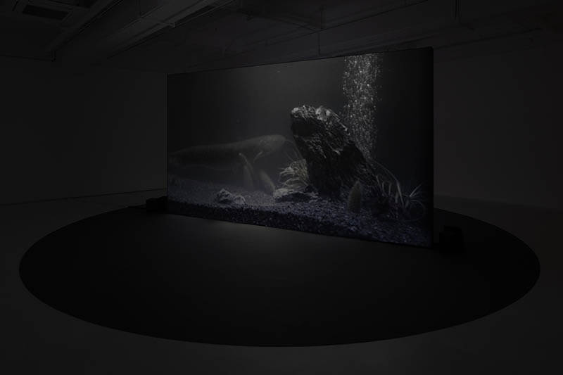 マヤ・ワタナベ「Suspended States ｜ 滞留」 京都芸術センター-6