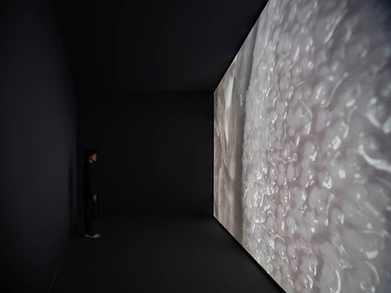 マヤ・ワタナベ「Suspended States ｜ 滞留」 京都芸術センター-8