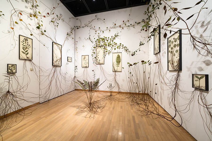 第25回岡本太郎現代芸術賞（TARO賞） 川崎市岡本太郎美術館-2