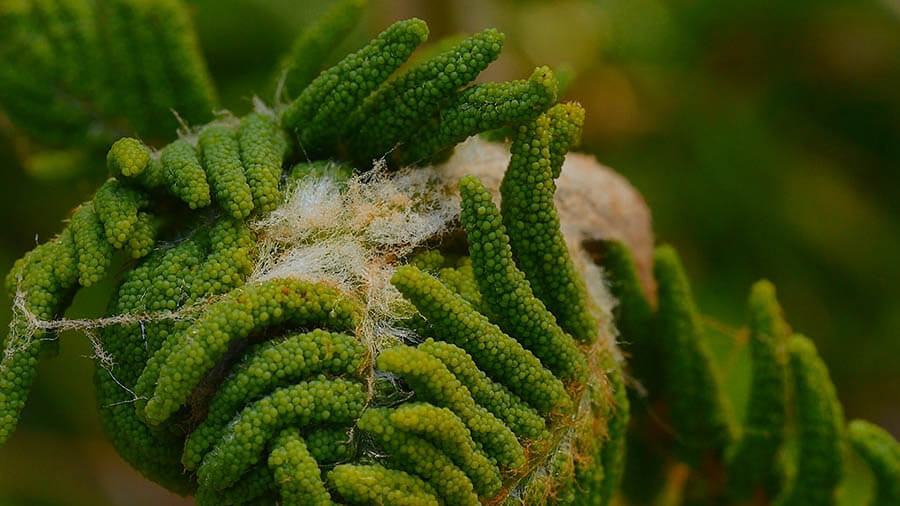 －零れ落ちた光を集める－井手豊 映像作品展 奈義町現代美術館-1