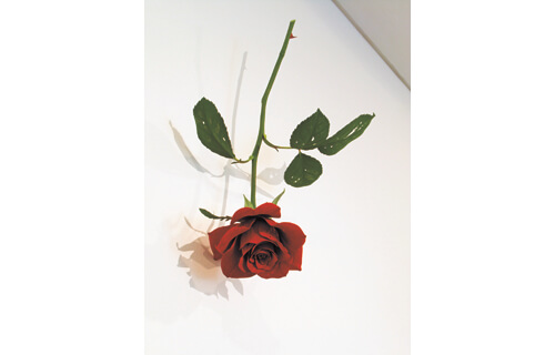 開館90周年記念展 木々との対話─再生をめぐる5つの風景 東京都美術館-5