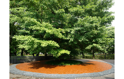 開館90周年記念展 木々との対話─再生をめぐる5つの風景 東京都美術館-7