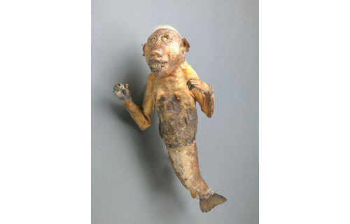 特別展「見世物大博覧会」 国立民族学博物館-7