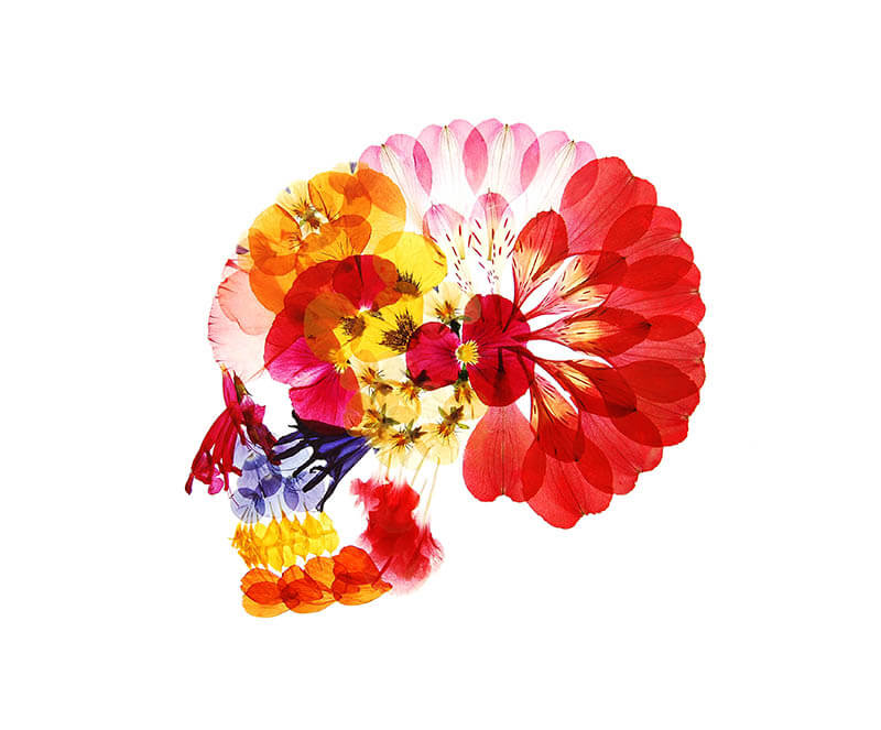 特集展示「不自然（マンメイド）な植物展」 角川武蔵野ミュージアム-2