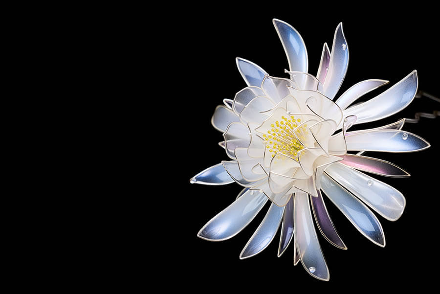 特集展示「不自然（マンメイド）な植物展」 角川武蔵野ミュージアム-13