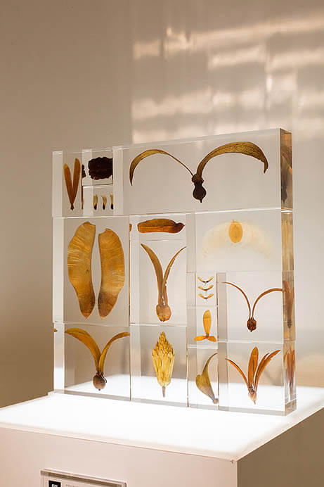 特集展示「不自然（マンメイド）な植物展」 角川武蔵野ミュージアム-17