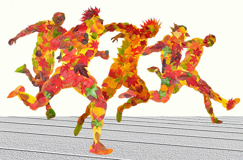 特集展示「不自然（マンメイド）な植物展」 角川武蔵野ミュージアム-19