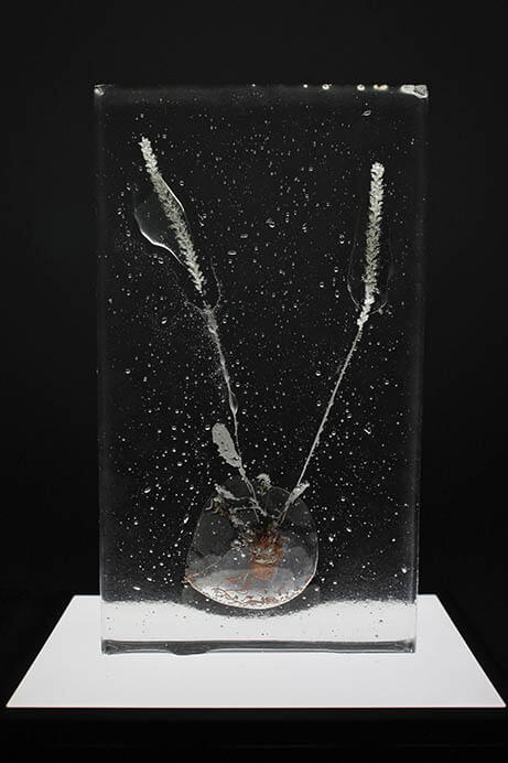 特集展示「不自然（マンメイド）な植物展」 角川武蔵野ミュージアム-10