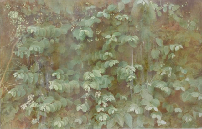 新たな作品とともに　新収蔵品展 西宮市大谷記念美術館-4