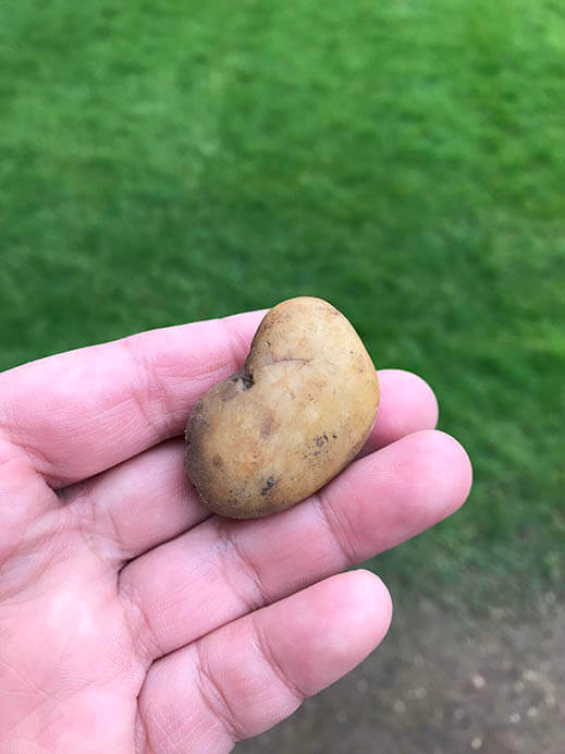 ザ・トライアングル 彦坂敏昭 京都市京セラ美術館-1