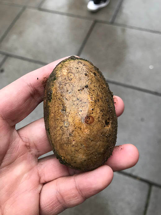 ザ・トライアングル 彦坂敏昭 京都市京セラ美術館-2