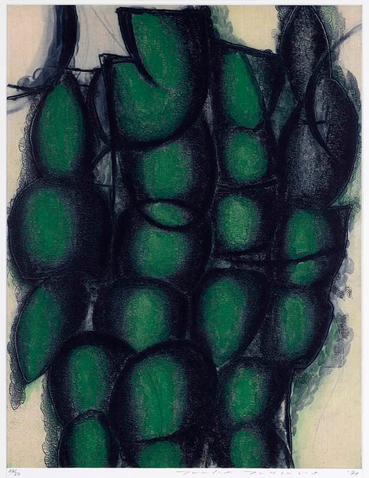 辰野登恵子―身体的知覚による版表現 BBプラザ美術館-5