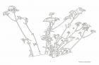 IAMAS ARTIST FILE #08 福島諭「記譜、そして、呼吸する時間」 岐阜県美術館-1