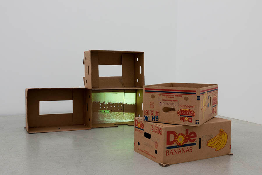 コレクション展2 Sea Lane - Connecting to the Islands　航路ー島々への接続 金沢21世紀美術館-2