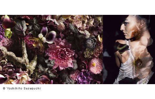 笹口悦民写真展　無言の恍惚 彫刻の森美術館-5