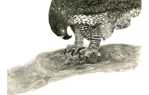 ＜企画展＞あべ弘士の動物王国展 ちひろ美術館・東京-4