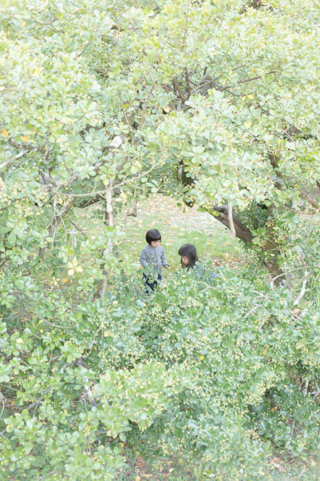 ヴァンジ彫刻庭園美術館 開館20周年記念展　Flower of Life 生命の花 ヴァンジ彫刻庭園美術館-4