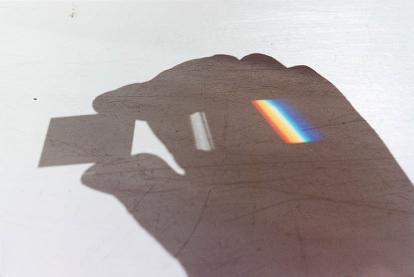 ヴァンジ彫刻庭園美術館 開館20周年記念展　Flower of Life 生命の花 ヴァンジ彫刻庭園美術館-3