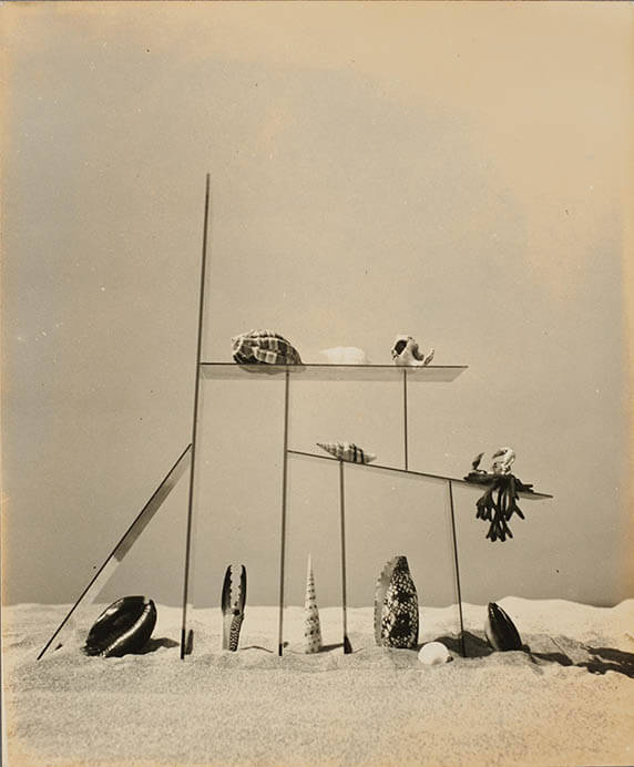 アヴァンガルド勃興 近代日本の前衛写真 東京都写真美術館-6