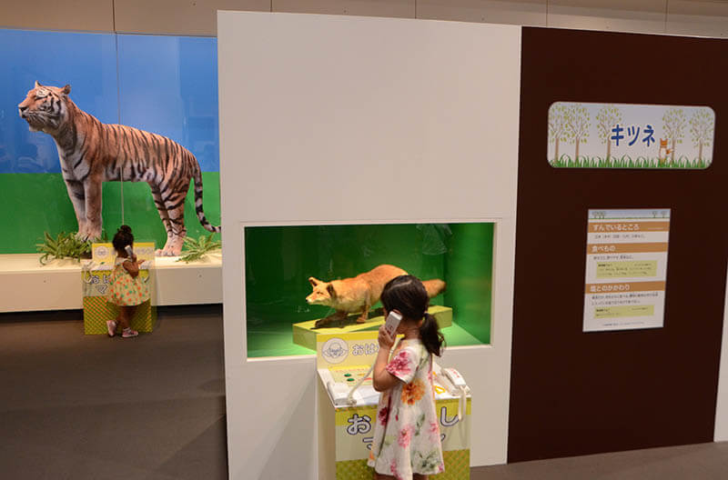 第43回夏休み塩の学習室 動物にきこう！塩のひみつ2022 たばこと塩の博物館-1