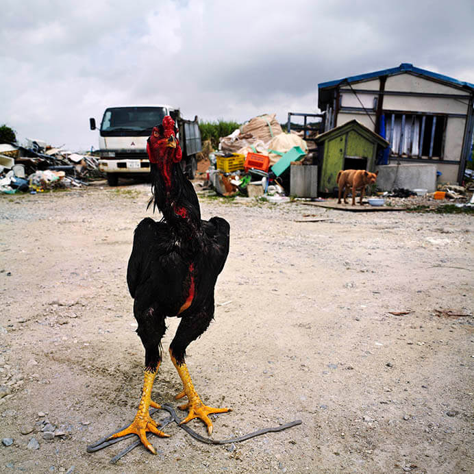 コレクション1　遠い場所／近い場所 国立国際美術館-2