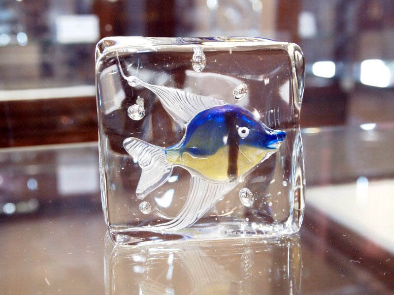 ヴェネツィアガラスの水族館　－きらめく 海の宝石－ 北一ヴェネツィア美術館-16