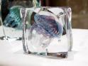 ヴェネツィアガラスの水族館　－きらめく 海の宝石－ 北一ヴェネツィア美術館-1