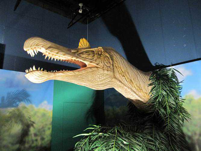 ティラノサウルス　～進化の謎にせまる～ 愛媛県美術館-2