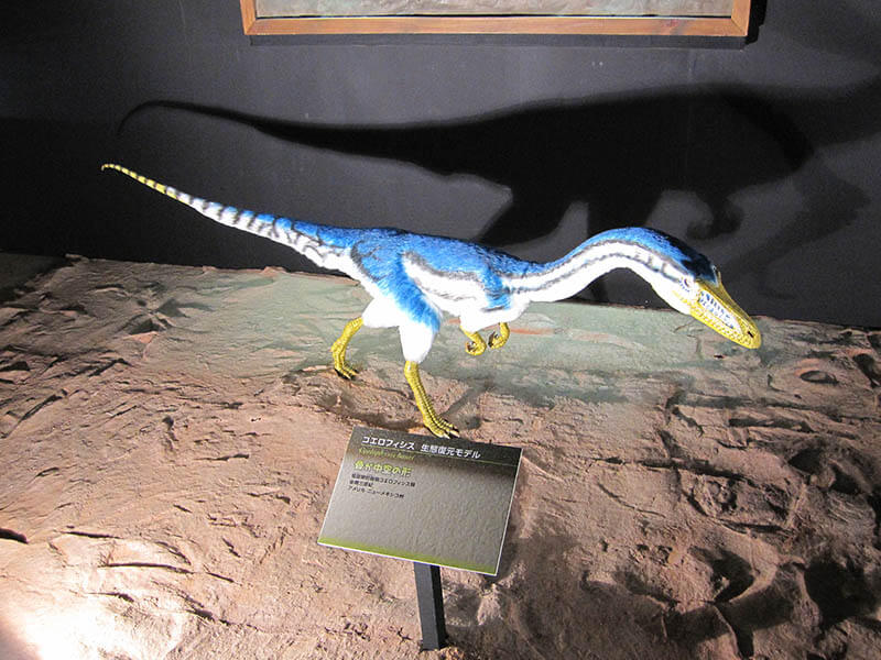 ティラノサウルス　～進化の謎にせまる～ 愛媛県美術館-11