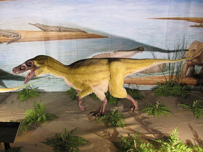 ティラノサウルス　～進化の謎にせまる～ 愛媛県美術館-3