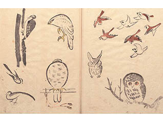 国宝 鳥獣戯画と愛らしき日本の美術