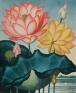 自然という書物 15～19世紀のナチュラルヒストリー＆アート 町田市立国際版画美術館-1