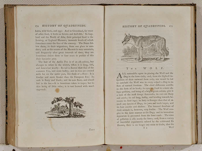 理想の書物 —英国19世紀挿絵本からプライヴェート･プレスの世界へ— 群馬県立近代美術館-2