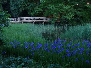 企画展　石神井公園－池のほとりに育まれた自然と歴史－